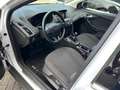 Ford Focus Wagon 1.5 Titanium Edition 182PK! Trekhaak! Faceli - thumbnail 9