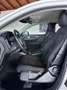 Volvo XC40 2.0 d3 Business geartronic UniProprietario Alb - thumbnail 11