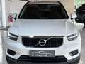 Volvo XC40 2.0 d3 Business geartronic UniProprietario Alb - thumbnail 3