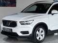 Volvo XC40 2.0 d3 Business geartronic UniProprietario Alb - thumbnail 2