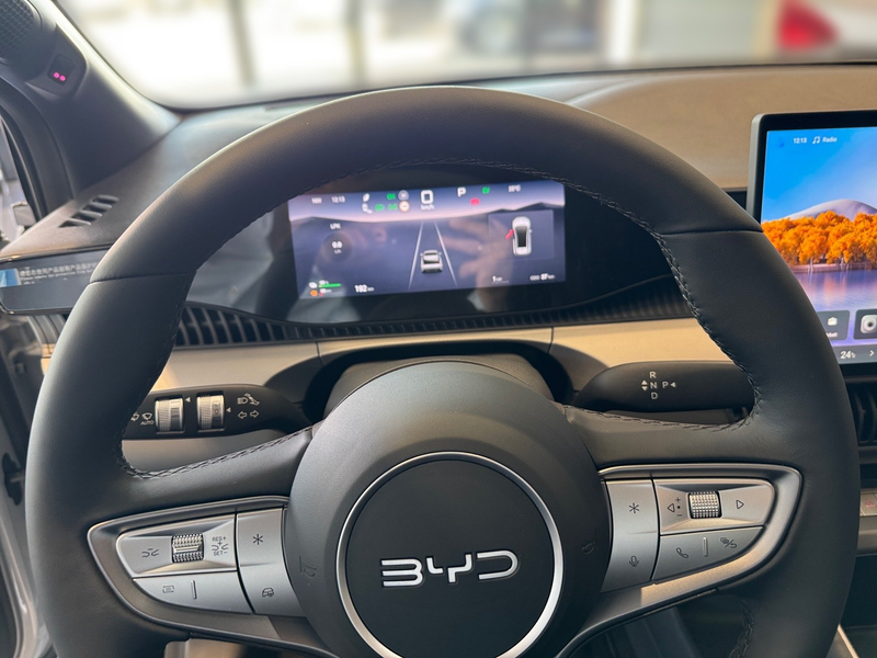 BYD Dolphin G DM-i Boost VollLED, Lenkradheizung — photo 10
