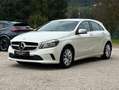 Mercedes-Benz A 180 d Executive auto | APPLE CARPLAY+GARANZIA Bianco - thumbnail 3