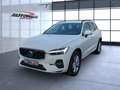 Volvo XC60 B4 (Diesel) Momentum Pro AWD Automatik Navi Weiß - thumbnail 2
