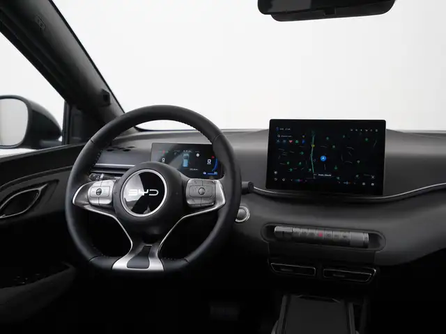 Byd Dolphin Surf view 5