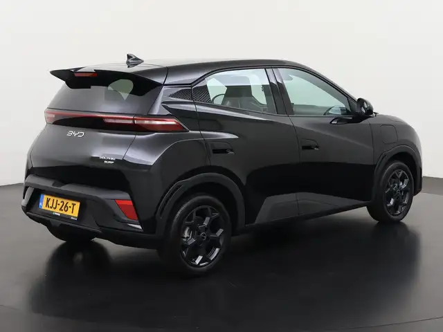 Byd Dolphin Surf view 4