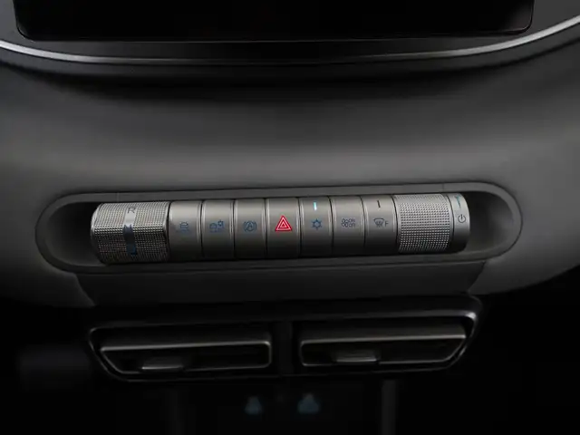 Byd Dolphin Surf view 10