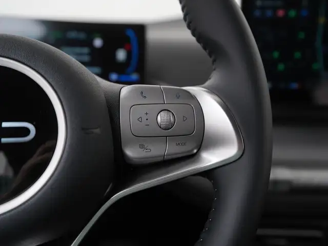 Byd Dolphin Surf view 9
