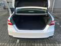 Toyota Camry 2.5 LE Wit - thumbnail 25