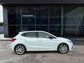 SEAT Ibiza FR 1.0 TSI DSG Rückfahrk. ACC Navi Klimaa. Blanc - thumbnail 6