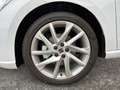 SEAT Ibiza FR 1.0 TSI DSG Rückfahrk. ACC Navi Klimaa. Blanc - thumbnail 19
