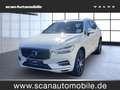 Volvo XC60 XC 60 Inscription Recharge Plug-In Hybrid AWD Navi Weiß - thumbnail 1