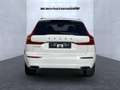 Volvo XC60 XC 60 Inscription Recharge Plug-In Hybrid AWD Navi Weiß - thumbnail 9