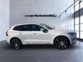 Volvo XC60 XC 60 Inscription Recharge Plug-In Hybrid AWD Navi Weiß - thumbnail 8