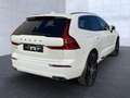 Volvo XC60 XC 60 Inscription Recharge Plug-In Hybrid AWD Navi Weiß - thumbnail 4