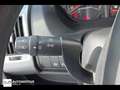 Fiat Ducato L3H2 gps camera Weiß - thumbnail 20