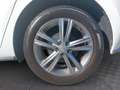Volkswagen Polo 1,0 TSI R-Line Weiß - thumbnail 13