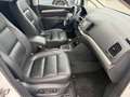 SEAT Alhambra Style/Navi/Leder/Kamera/Xenon/TOP Weiß - thumbnail 16