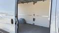 Fiat Ducato Ducato L4H2 Autm. / Alarmanlage / Garantie 08/2026 Grau - thumbnail 13