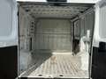 Fiat Ducato 140 PS L1H1 Kamera Klimaautomatik Tempomat Weiß - thumbnail 5