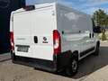 Fiat Ducato 140 PS L1H1 Kamera Klimaautomatik Tempomat Weiß - thumbnail 4