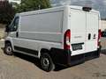 Fiat Ducato 140 PS L1H1 Kamera Klimaautomatik Tempomat Weiß - thumbnail 3