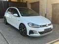 Volkswagen Golf GTI 5p 2.0 tsi Performance 245cv dsg 2019 tetto/Pdx/ Blanc - thumbnail 4