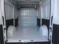 Fiat Ducato 120 MT 6E L2H2 Kastenwagen Weiß - thumbnail 13