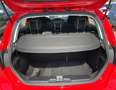 Ford Fiesta 7ª serie 1.1 75 CV GPL 5 porte Titanium Rouge - thumbnail 16