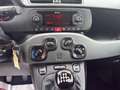 Fiat Panda 1.0 hybrid City Life s&s 70cv Gris - thumbnail 12