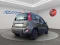 Fiat Panda 1.0 hybrid City Life s&s 70cv Gris - thumbnail 3