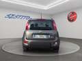Fiat Panda 1.0 hybrid City Life s&s 70cv Gris - thumbnail 6
