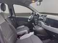 Fiat Panda 1.0 hybrid City Life s&s 70cv Gris - thumbnail 11