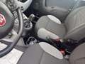 Fiat Panda 1.0 hybrid City Life s&s 70cv Gris - thumbnail 18