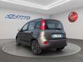 Fiat Panda 1.0 hybrid City Life s&s 70cv Gris - thumbnail 7