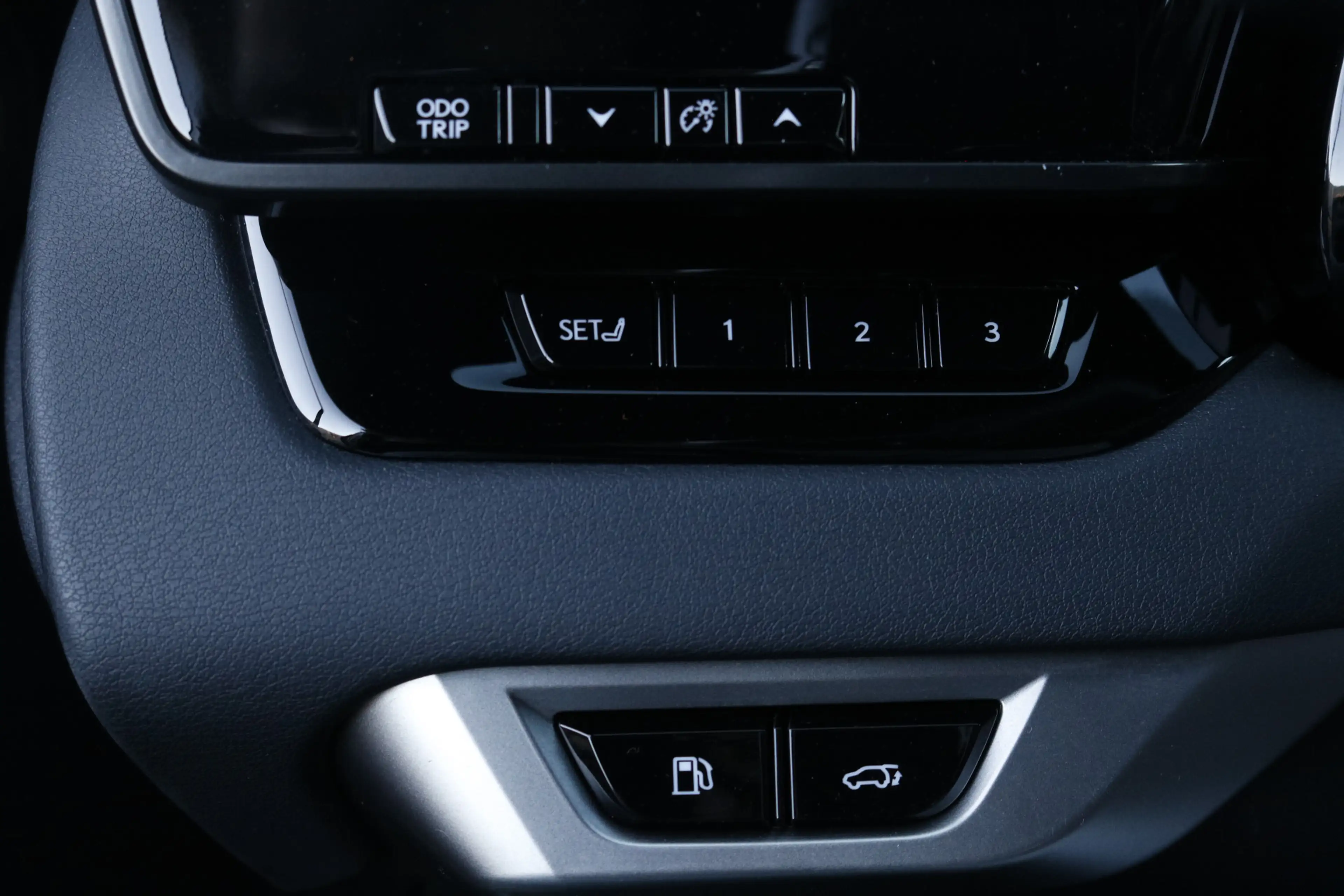 Lexus RX 450h 450h+ Plug-in Hybrid President Line | Mark Levinso — photo 13