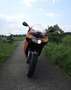 Aprilia RS 125 Rosso Lion 2 Stroke Rojo - thumbnail 3