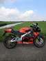 Aprilia RS 125 Rosso Lion 2 Stroke Rojo - thumbnail 2