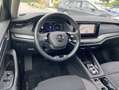 Skoda Octavia Combi 2.0 TDI DSG AHK+NAVI-COLUMBUS+LED+ Schwarz - thumbnail 9