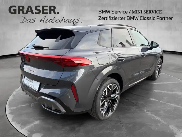 Cupra Terramar view 5