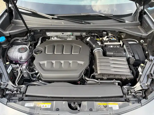 Cupra Terramar view 15
