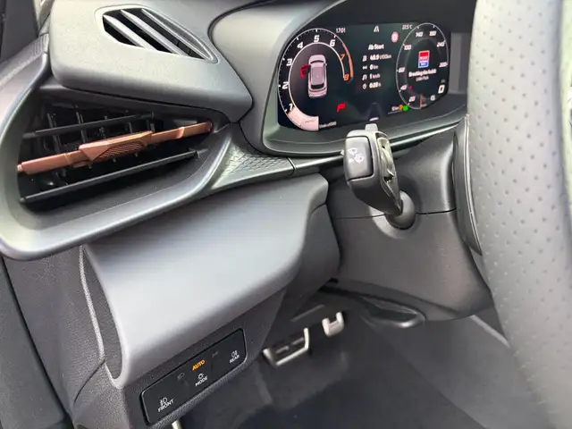 Cupra Terramar view 11