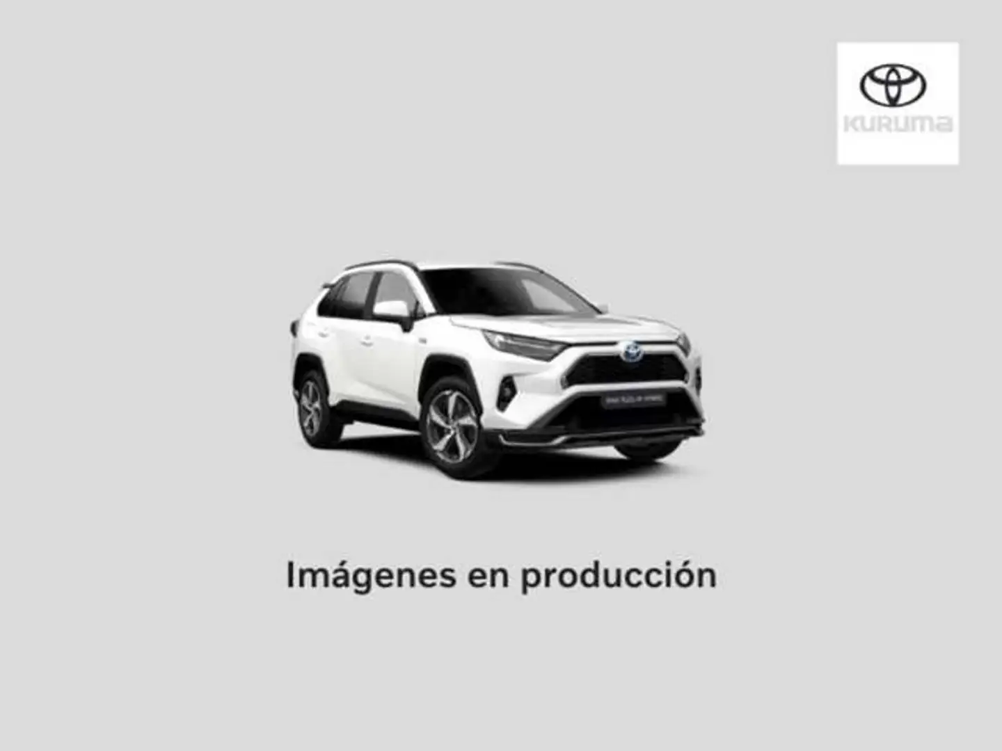 Toyota RAV 4 2.5 Plug-in hybrid 4WD Advance Gris - 1