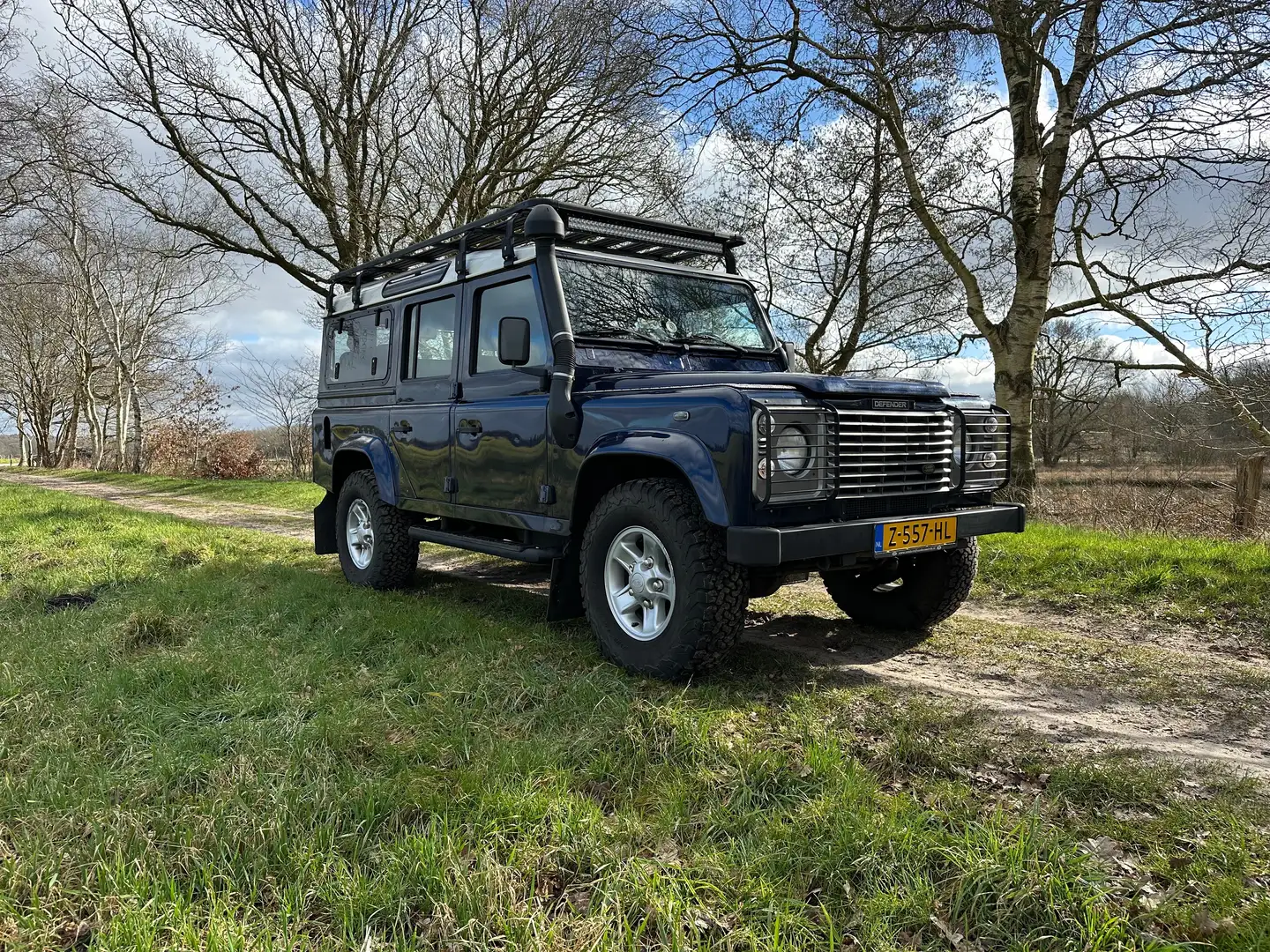 Land Rover Defender Defender 2.5 110 SW E Blauw - 1