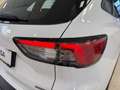 Ford Kuga 2,5 Duratec PHEV Cool & Connect Aut. *TAGESZULS... Weiß - thumbnail 19