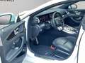 Mercedes-Benz AMG GT 53 4MATIC+ MASSAGE 360° KAM. JUNGE STERNE Weiß - thumbnail 9