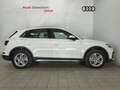Audi Q5 50 TFSIe Advanced quattro-ultra S tronic Blanco - thumbnail 10
