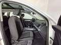 Audi Q5 50 TFSIe Advanced quattro-ultra S tronic Blanco - thumbnail 14