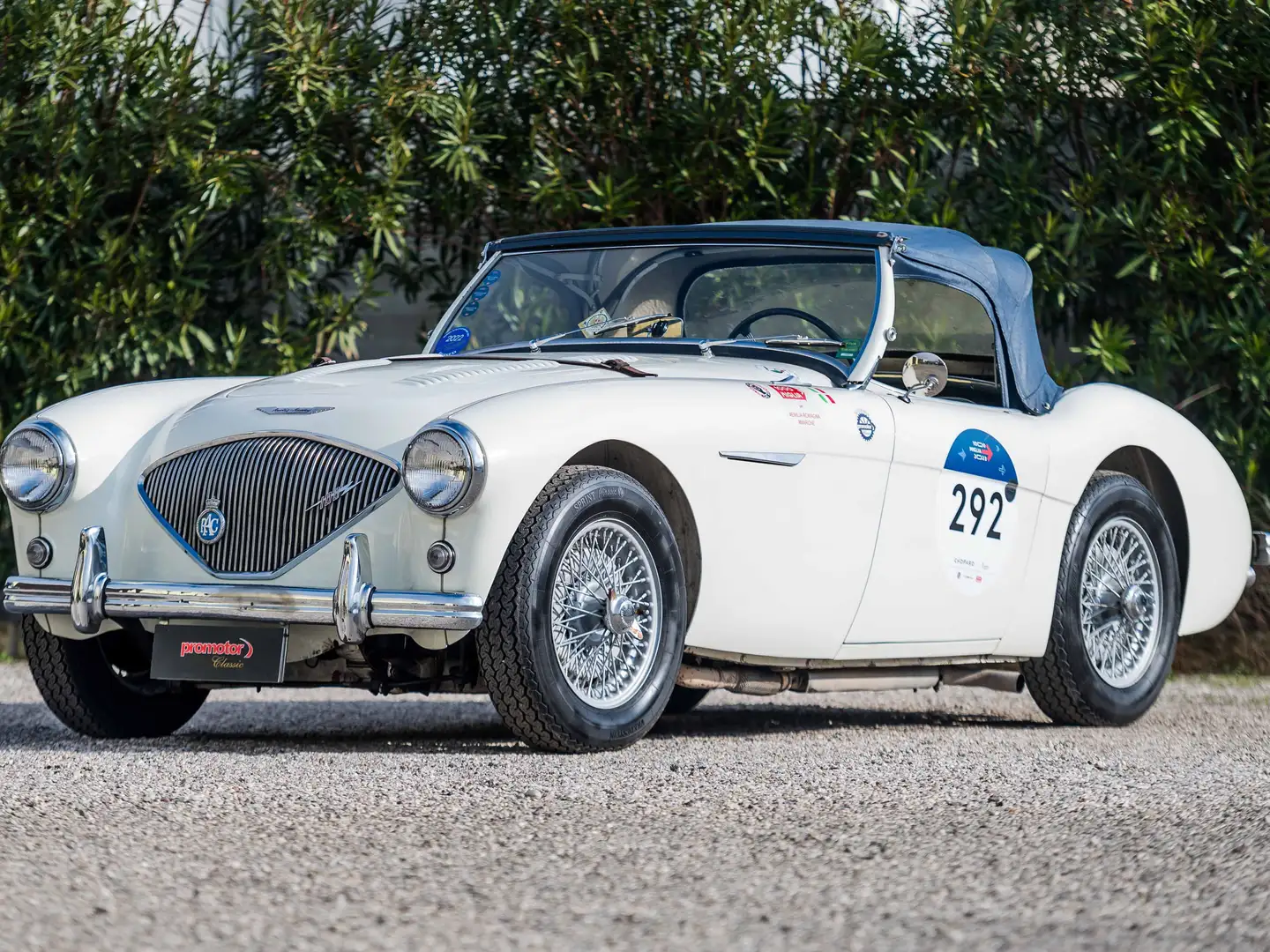 Austin-Healey 100 BN1 Alb - 1