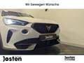 CUPRA Formentor 1.5 TSI AHK NAVI ACC LED SITZHZG LM 8x18 Wit - thumbnail 14