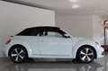 Volkswagen Maggiolino Cabrio 2.0 TDI Design BlueMotion Technology Blanc - thumbnail 5